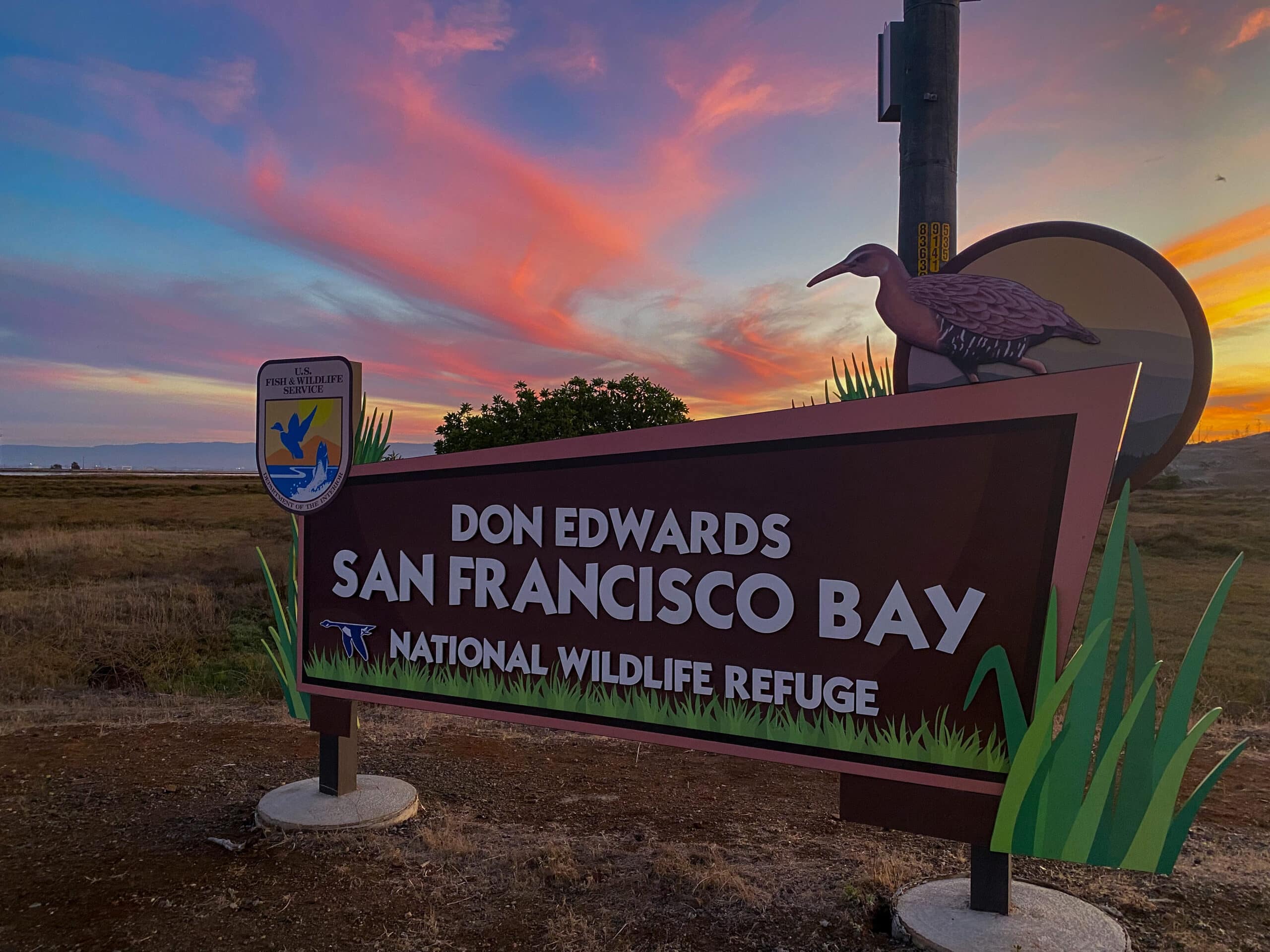 Stewardship Weekends Are Back - Your Local National Wildlife