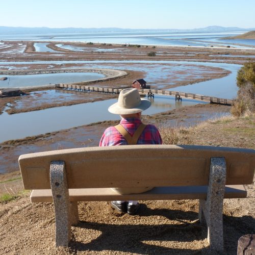 Frank on bench